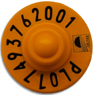 Kolczyki urzędowe dla trzody chlewnej 11 sztuk - obrazek 2