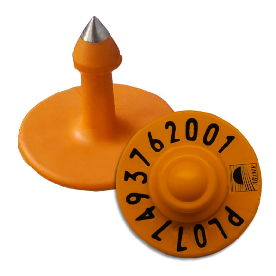 Kolczyki urzędowe dla trzody chlewnej 101 sztuk