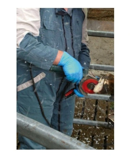 Tarcza do korekcji racic Profi P6, Ø 125 mm, 6 ostrzy - obrazek 2