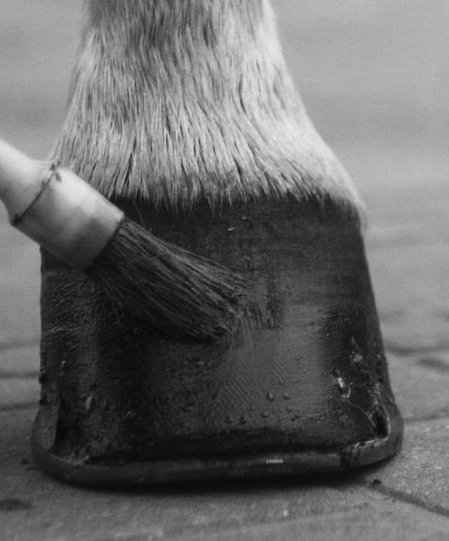 KERBL smar do kopyt dla konia Hoof Care czarny 1000 ml - obrazek 2