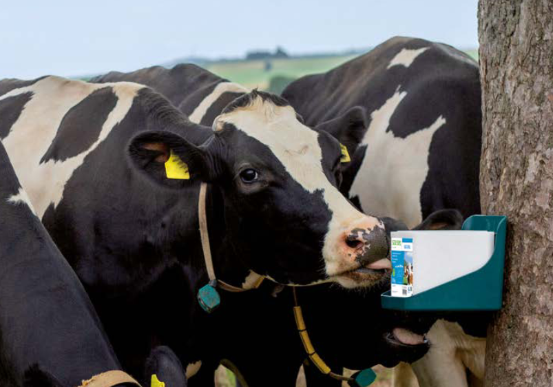 CROPPER SOLSEL lizawka solna Natural 10kg. - obrazek 2