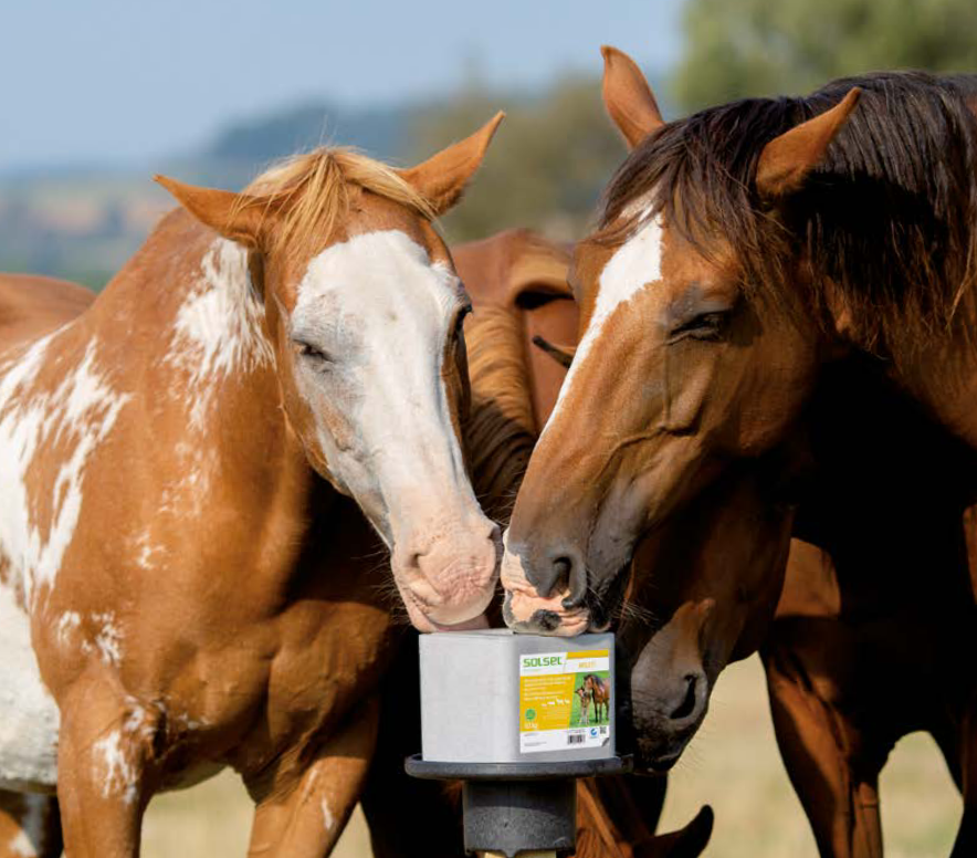 CROPPER SOLSEL lizawka Multi mineralna z miedzią 10kg. - obrazek 2