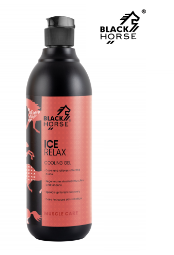 Żel chłodząco-regenerujący Ice Relax 500ml