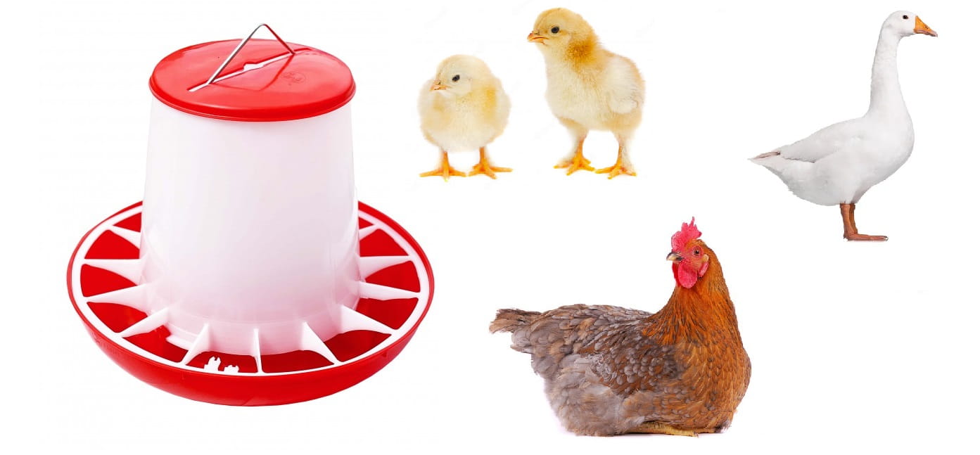 Karmidło zasypowe dla drobiu 3 kg - obrazek 4