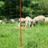 Siatka elektryczna OviNet dla owiec 50 m/108 cm, podwójny szpic