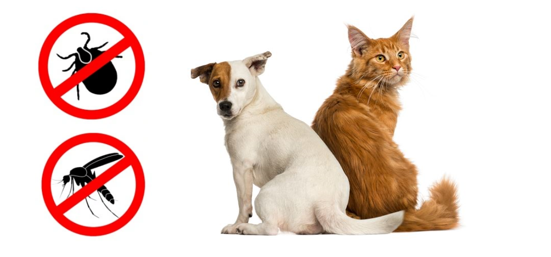 Krople Herbal na pchły i kleszcze dla dużych psów, 20-40kg - obrazek 4