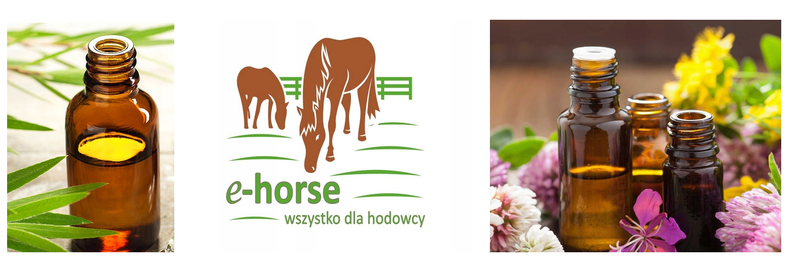 Olejek lawendowy BIOMUS 10 ml - obrazek 3