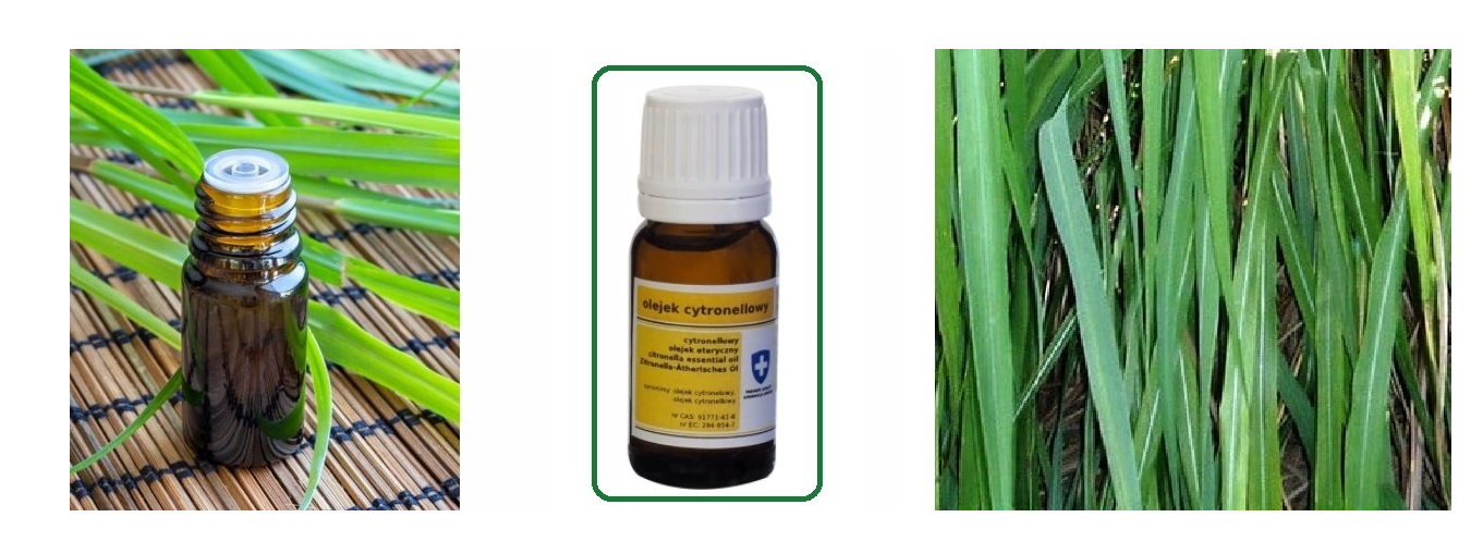 Olejek eteryczny grejpfrutowy 10ml - obrazek 3