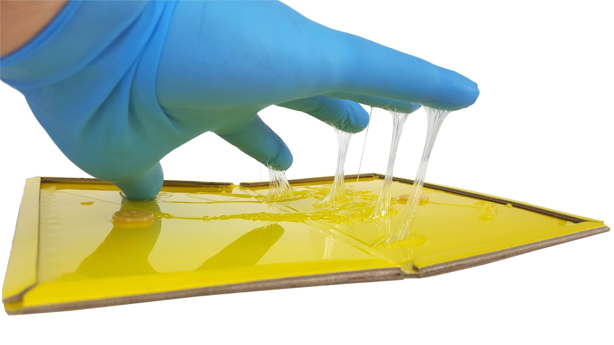 Pułapka na myszy i szczury Ratimor, klejowa, z wabikiem - obrazek 3