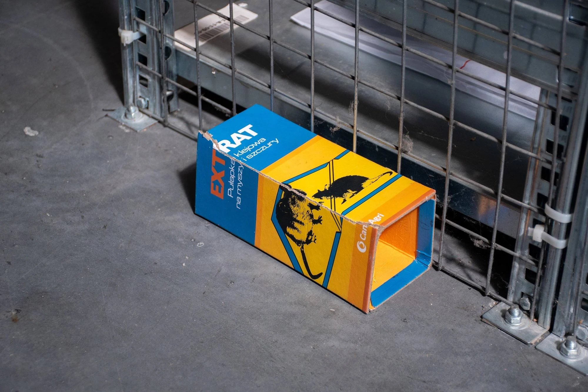 Pułapka na myszy i szczury klejowa XL z wabikiem Extrat - obrazek 4