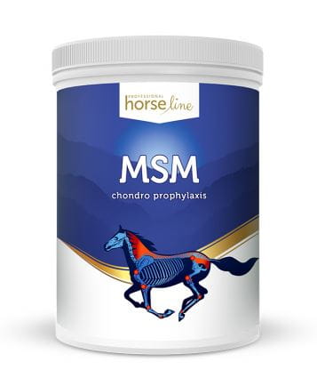 HorseLine Pro MSM aparat ruchu wzmocnienie 700g