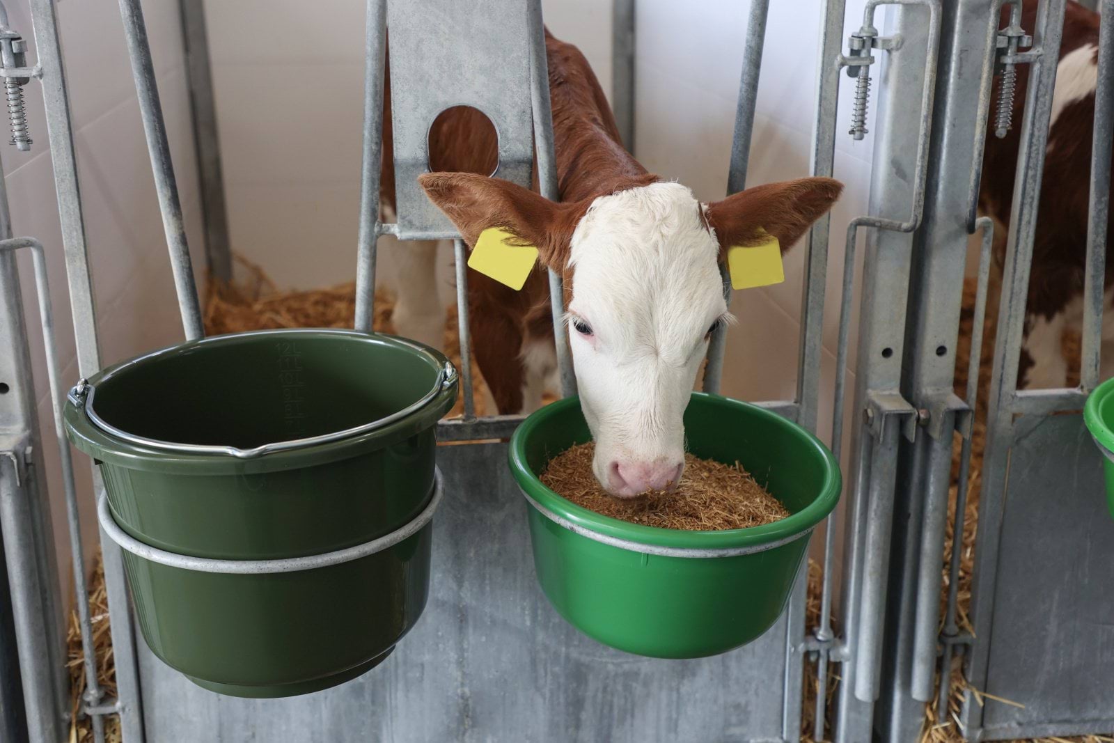 Miska do karmienia cieląt, oliwka, 8 l, Kerbl - obrazek 2