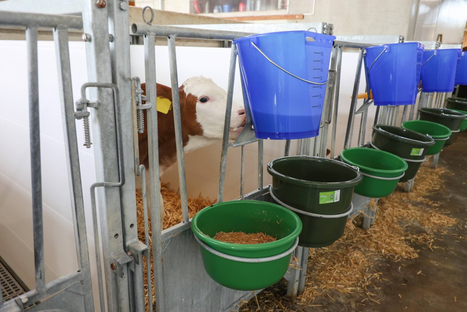 Miska do karmienia cieląt, oliwka, 8 l, Kerbl - obrazek 3