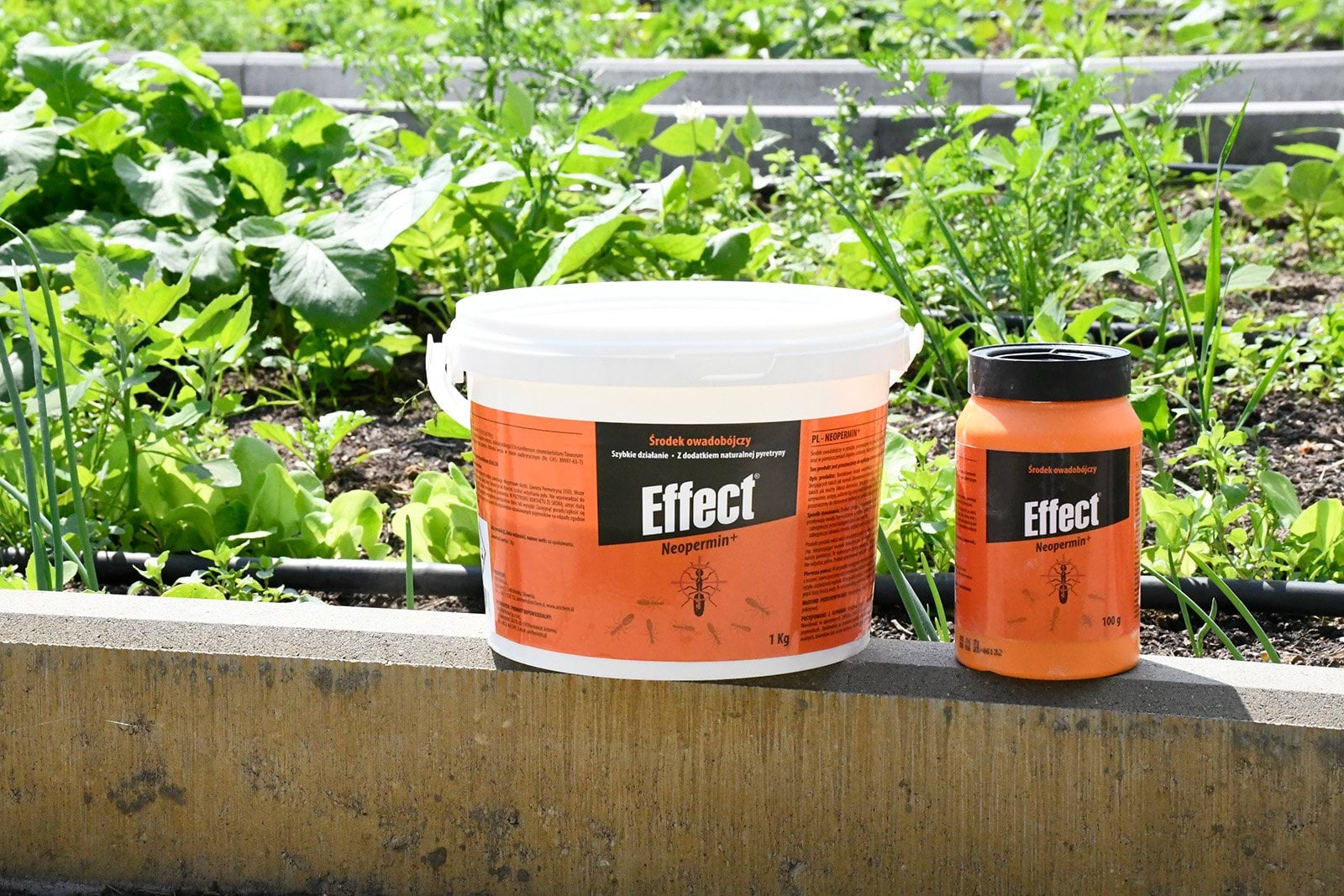 Effect środek owadobójczy przeciw mrówkom Neopermin+, proszek, 1000 g - obrazek 4