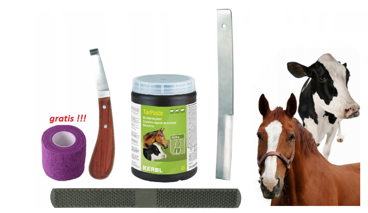 Zestaw do korekcji racic tasak,nóż,smoła bukowa,pilnik - obrazek 2