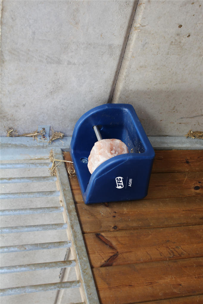 Uchwyt na lizawkę JFC do stajni - obrazek 3