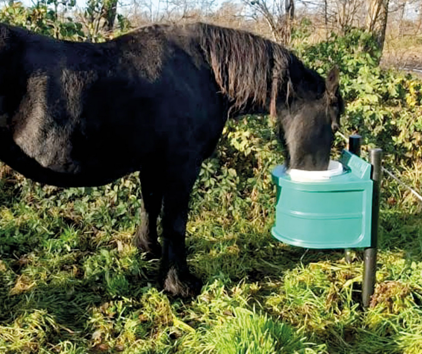 Poidło termalne dla koni bydła 20l - obrazek 4