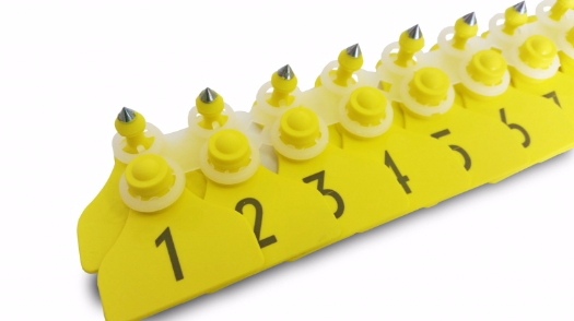 Kolczyki dla loch - obrazek 4