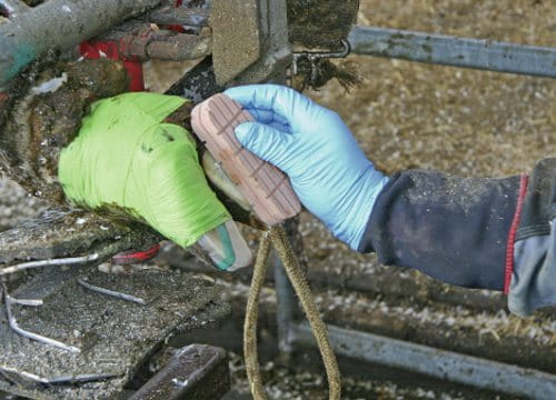 Zestaw Technovit 2-BOND podstawowy - obrazek 2