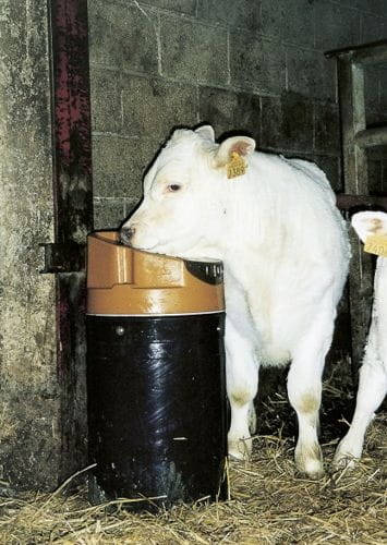 Poidło podgrzewane Stalcho - obrazek 5