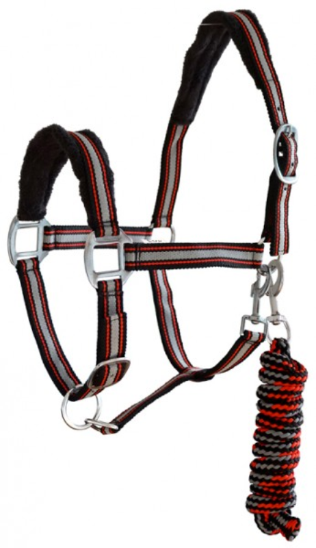 YORK kantar Calipso z uwiązem - obrazek 2