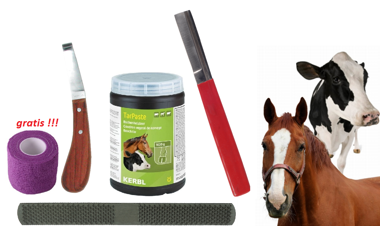 Zestaw do korekcji racic tasak,nóż,smoła bukowa,pilnik