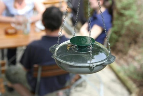 Pułapka na osy VespaNo - obrazek 2