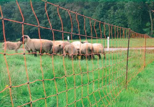 Siatka elektryczna dla owiec 90 cm/50 m pojedynczy szpic - obrazek 2