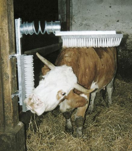 Czochradło EURO FARM - obrazek 2