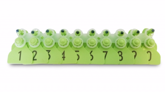 Kolczyki dla loch - obrazek 3