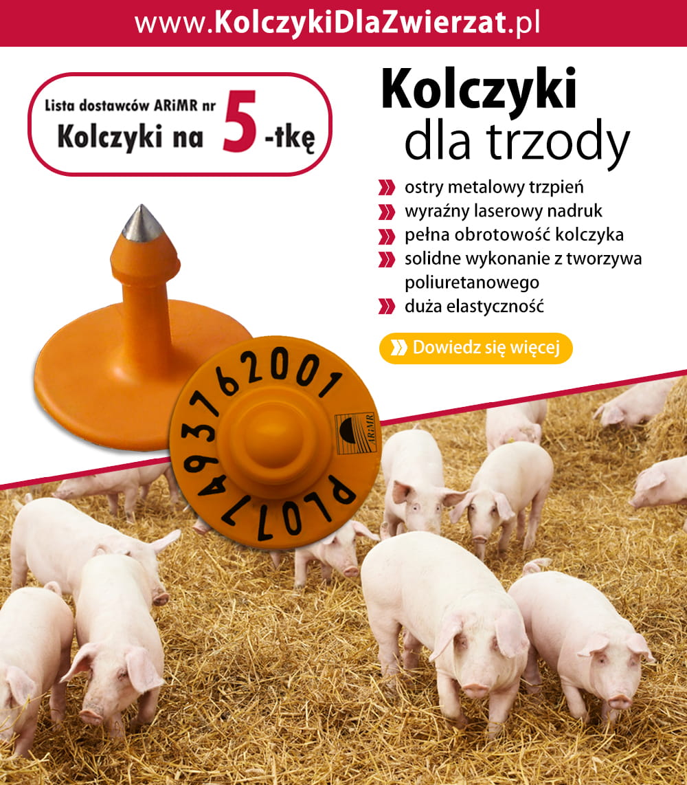 Kolczyki urzędowe dla trzody chlewnej 120 sztuk - obrazek 4