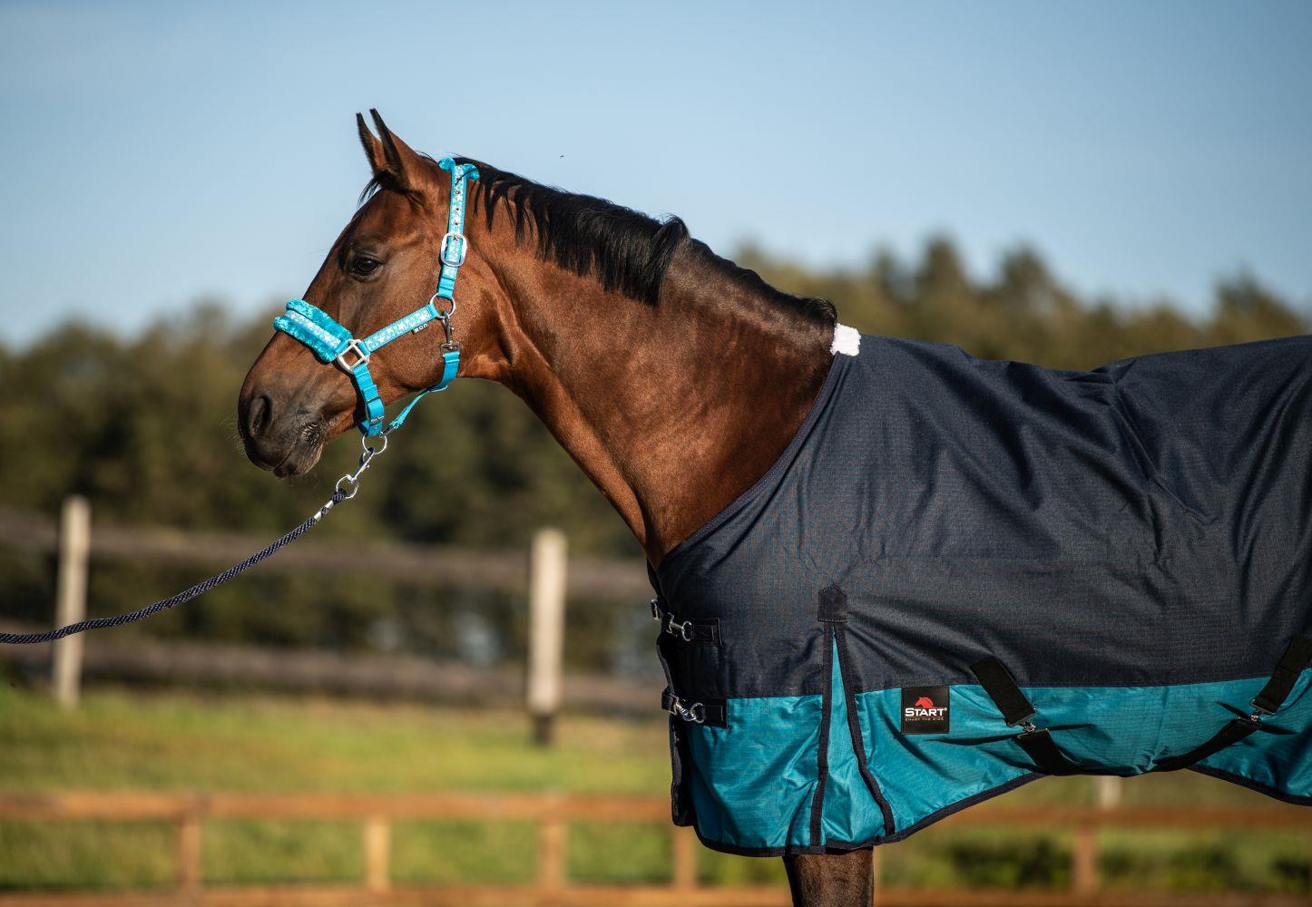 Derka START przeciwdeszczowa padokowa 2-tone 600D granatowo-turkusowa - obrazek 6